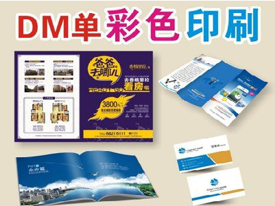 汤阴单页印刷,色彩搭配简单。